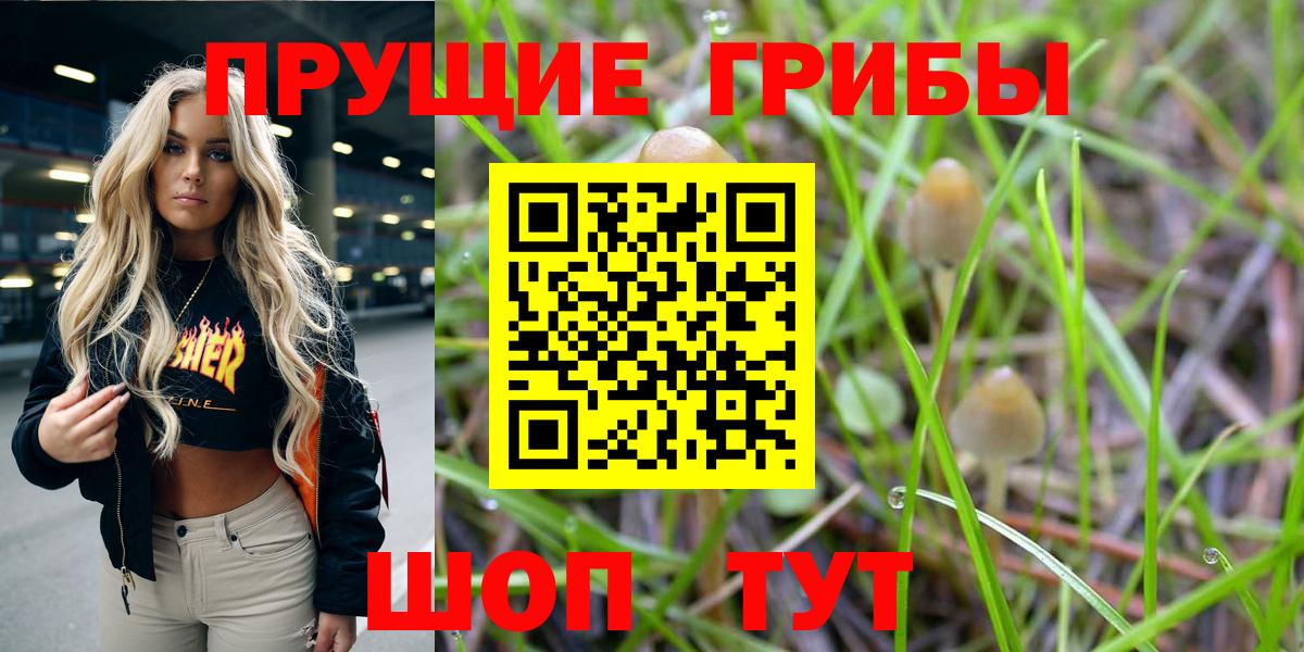 Псилоцибиновые грибы прущие грибы  Вход с VPN  Галлюциногенные грибы мицелий  Тобольск 