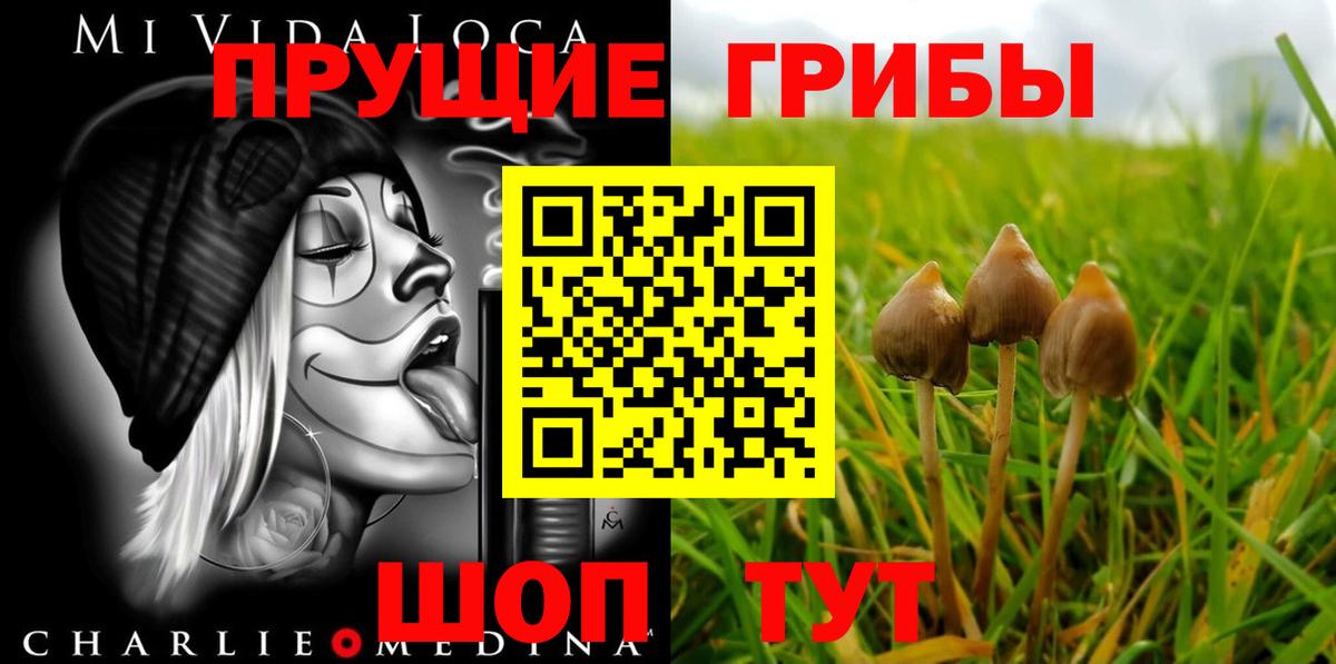 Галлюциногенные грибы мицелий Тобольск